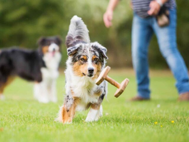 How to Choose the Perfect Daycare?