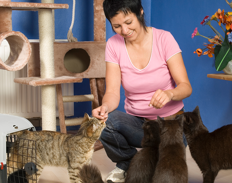 Pawsitive https://www.panamadoghotel.com/wp-content/uploads/2019/07/hero_image_09.png