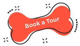https://www.panamadoghotel.com/wp-content/uploads/2019/08/book_tour.png