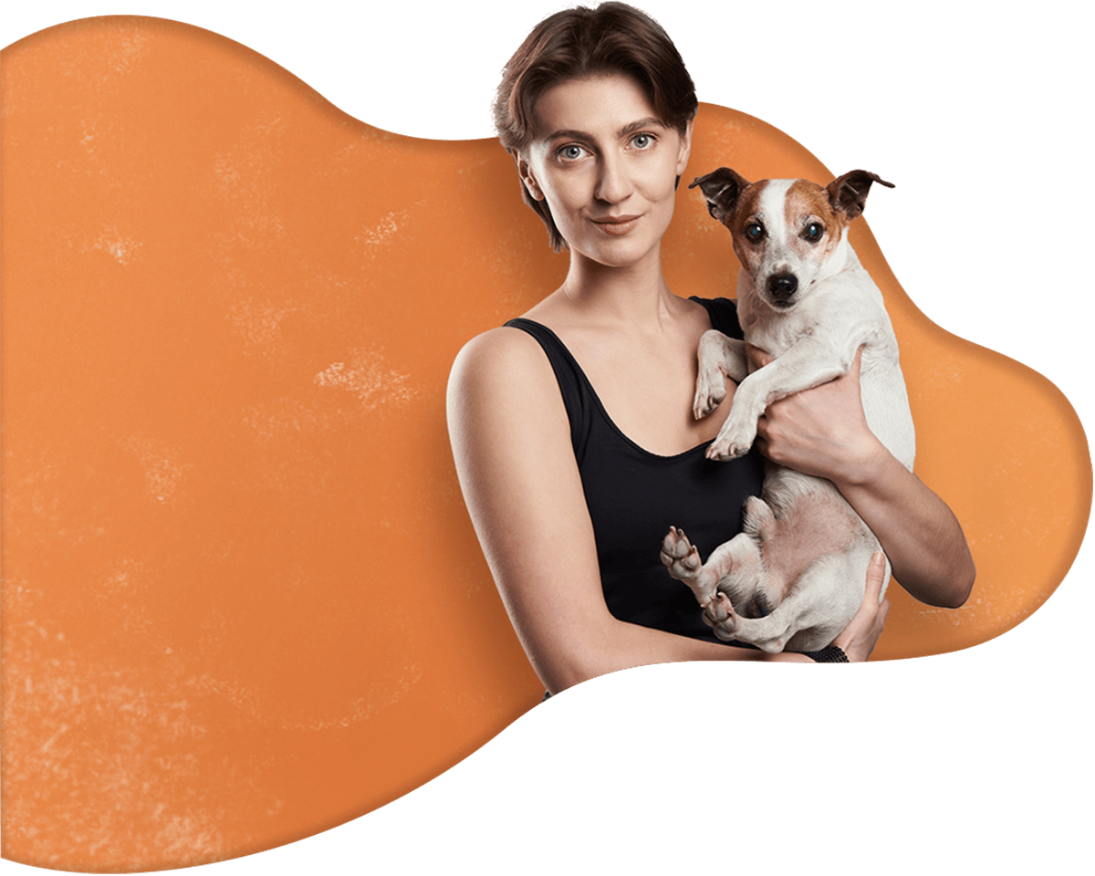 Pawsitive https://www.panamadoghotel.com/wp-content/uploads/2019/08/hero_image_16.png