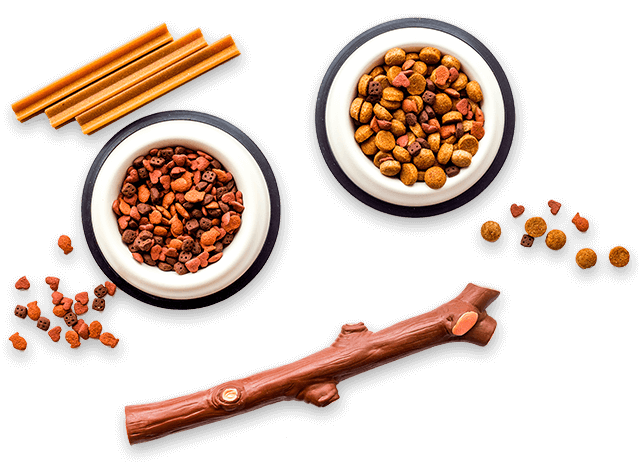 inner_images_01 https://www.panamadoghotel.com/wp-content/uploads/2019/08/inner_images_01.png